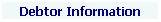Textfeld: Debtor Information